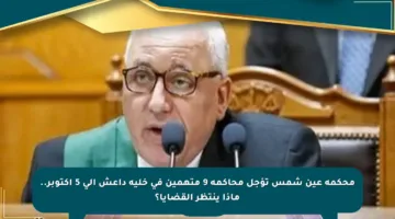 محكمة عين شمس تؤجل محاكمة 9 متهمين في خلية داعش إلى 5 أكتوبر.. ماذا ينتظر القضايا؟